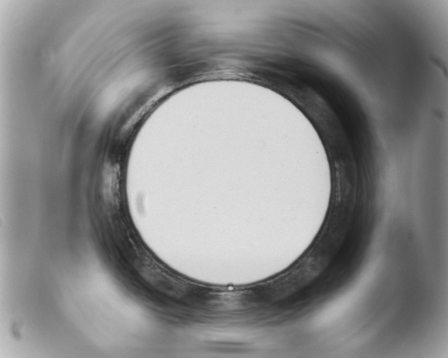 X0000103931438200810171741