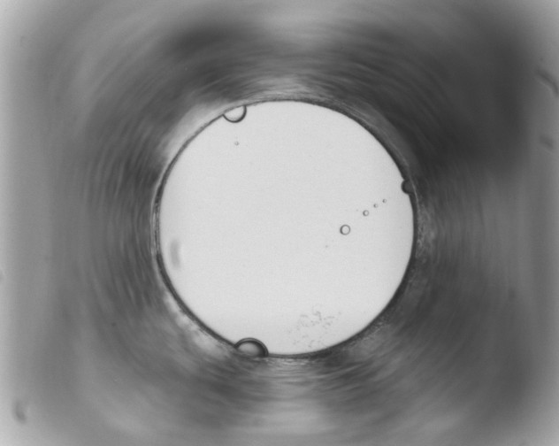 X0000103931439200810171741