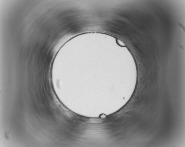 X0000103931440200810171741