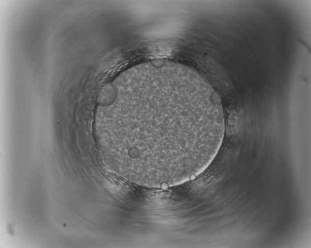 X0000103931441200810171740