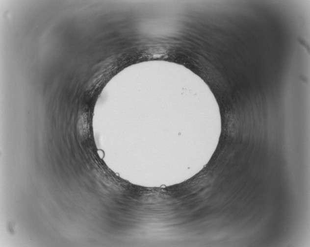 X0000103931442200810171740