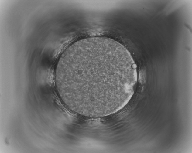 X0000103931444200810171740