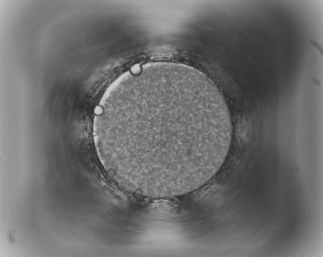 X0000103931445200810171740