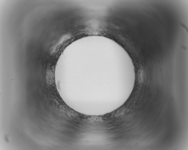 X0000103931446200810171740