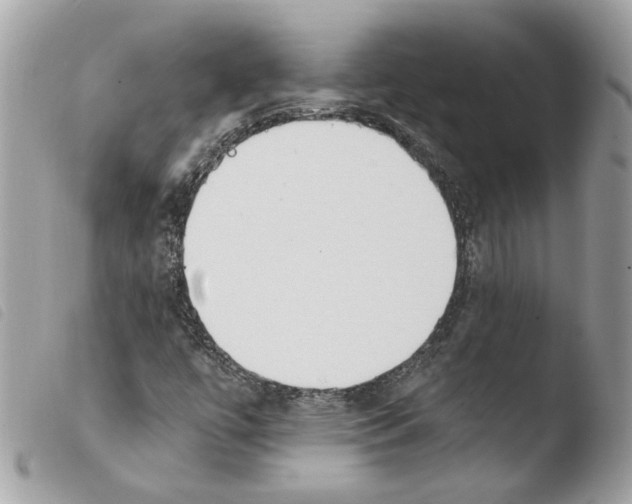 X0000103931447200810171740