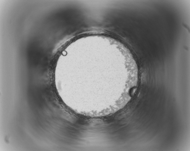 X0000103931448200810171740