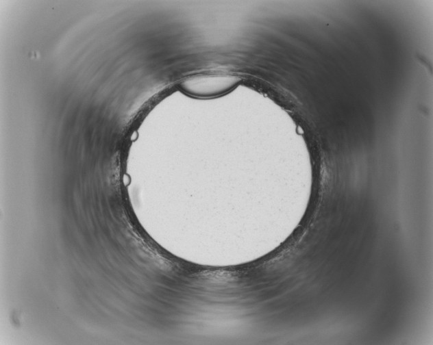 X0000103931450200810171740