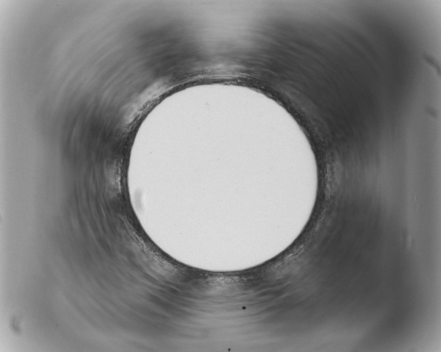 X0000103931451200810171740