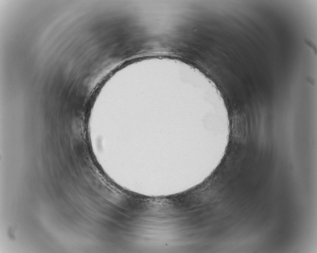 X0000103931452200810171740