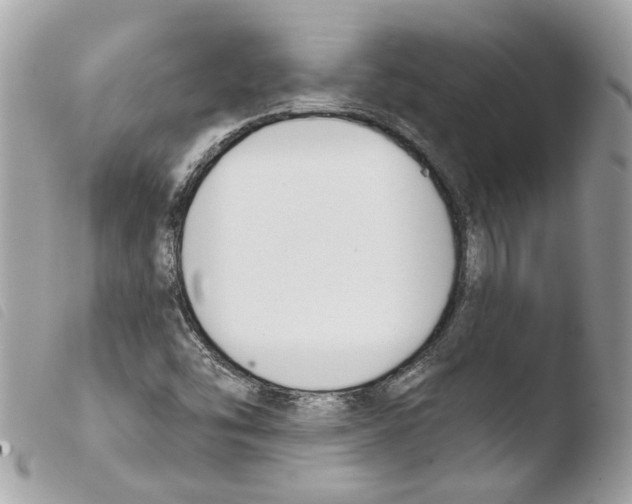 X0000103931454200810171740