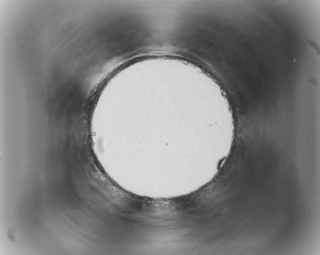 X0000103931456200810171740