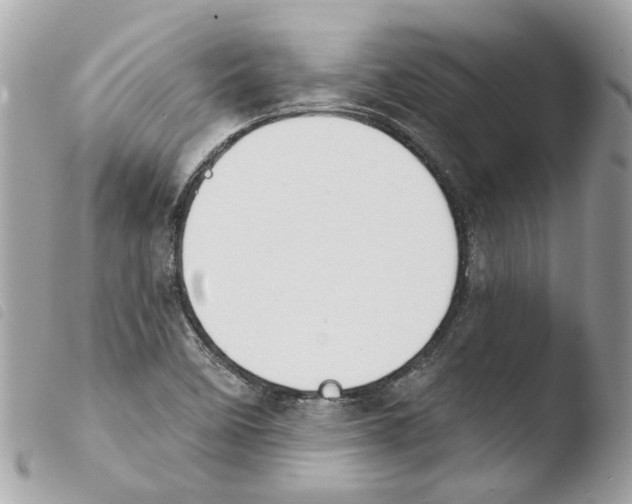 X0000103931458200810171740