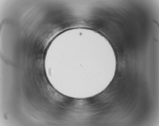 X0000103931460200810171740