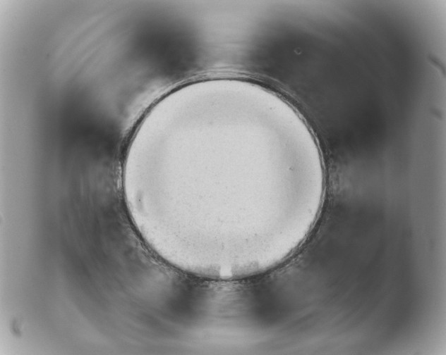 X0000103931461200810171740