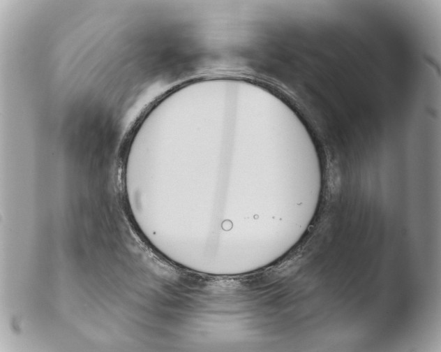 X0000103931462200810171740