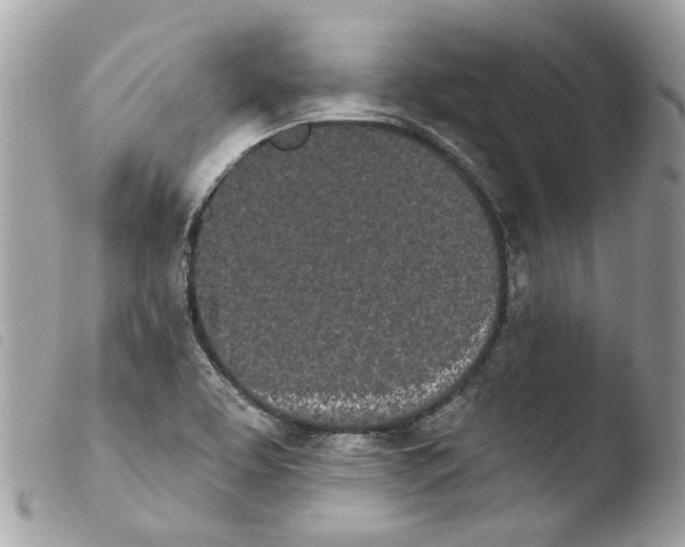 X0000103931463200810171740