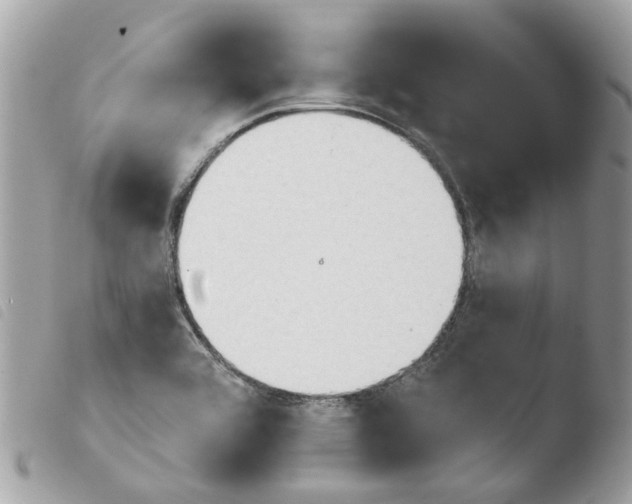 X0000103931464200810171740