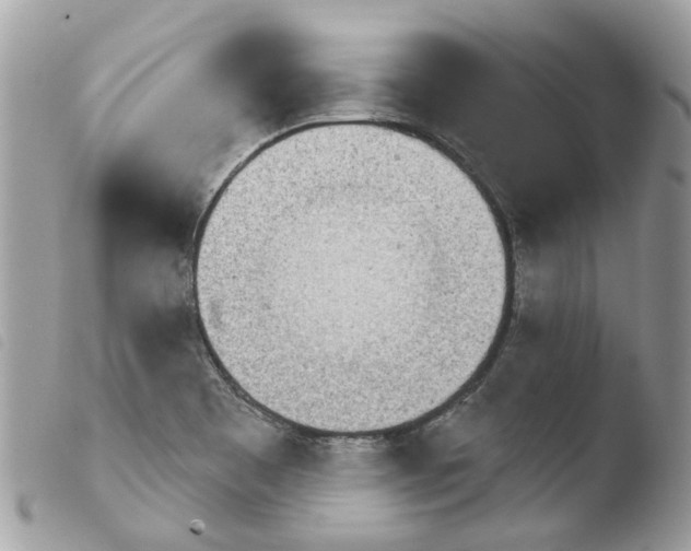 X0000103931465200810171740