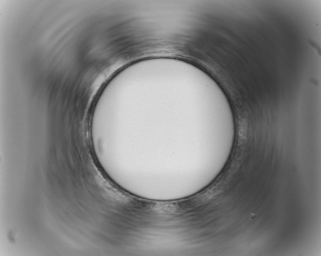 X0000103931466200810171740