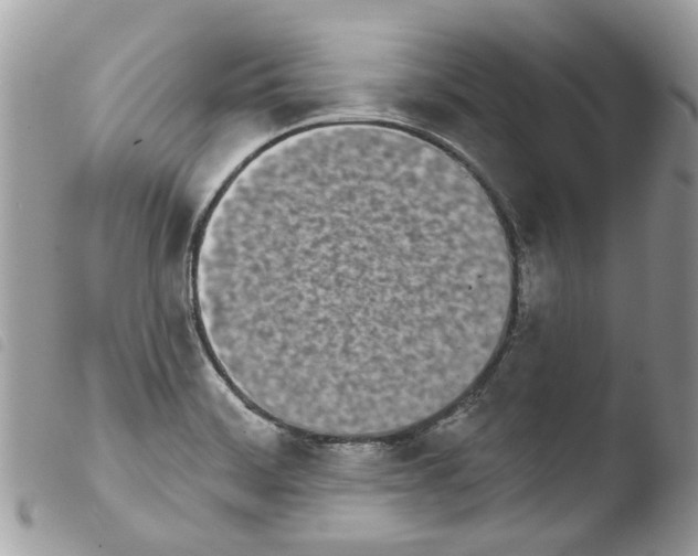 X0000103931468200810171740