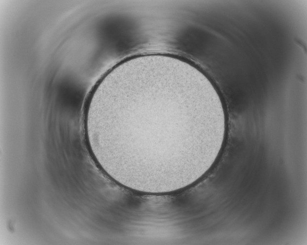 X0000103931469200810171740