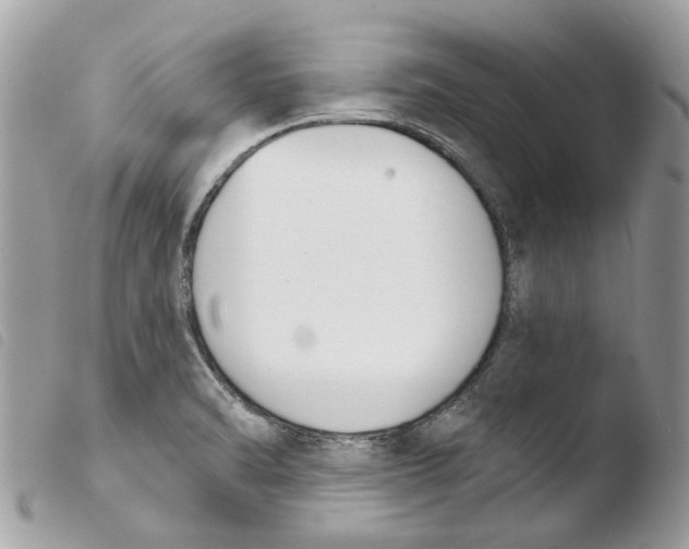 X0000103931470200810171740