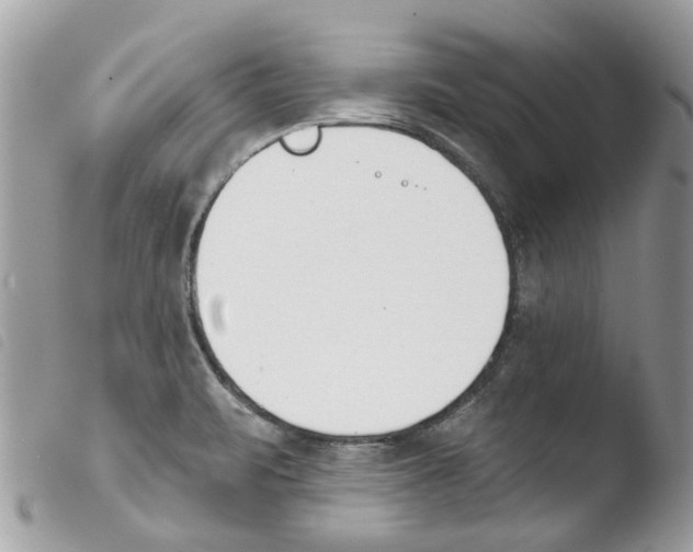 X0000103931471200810171740