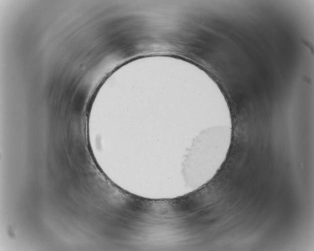 X0000103931472200810171740