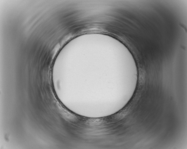 X0000103931474200810171740