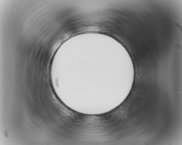 X0000103931475200810171740