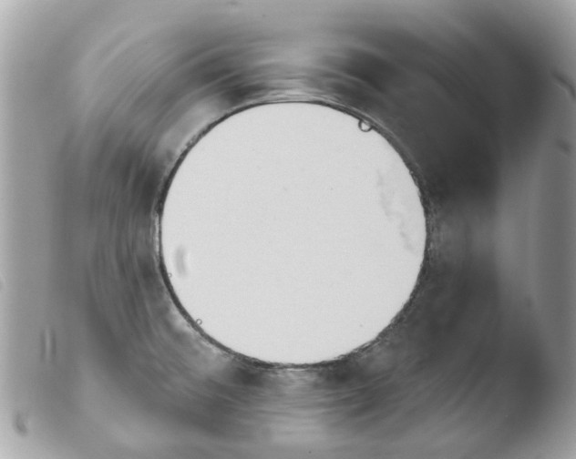 X0000103931476200810171740