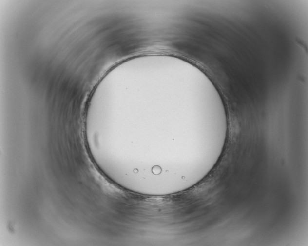 X0000103931478200810171740