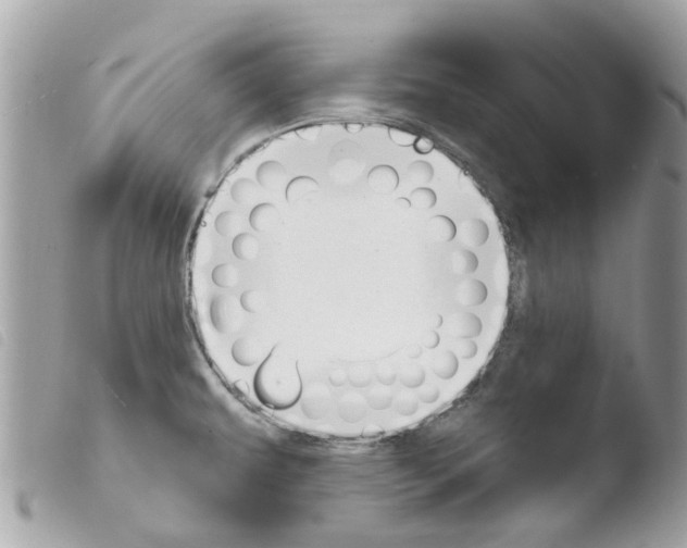 X0000103931479200810171740