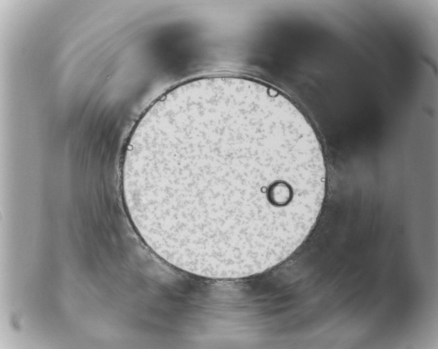 X0000103931480200810171740