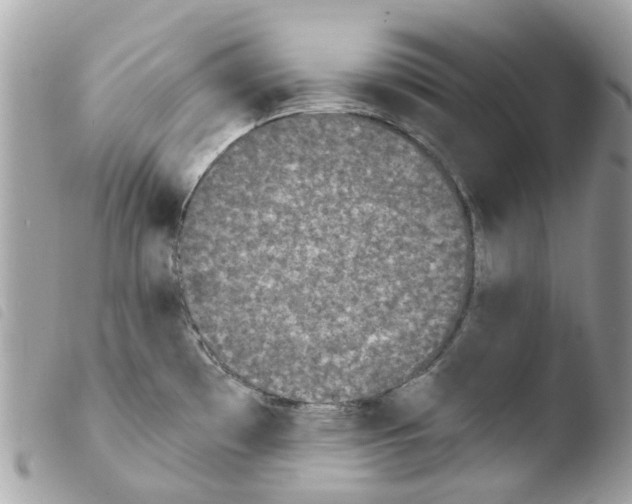 X0000103931481200810171740