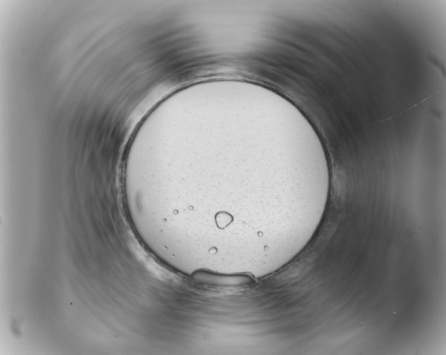 X0000103931482200810171740