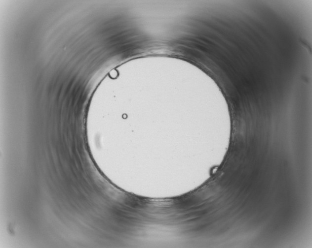 X0000103931483200810171740