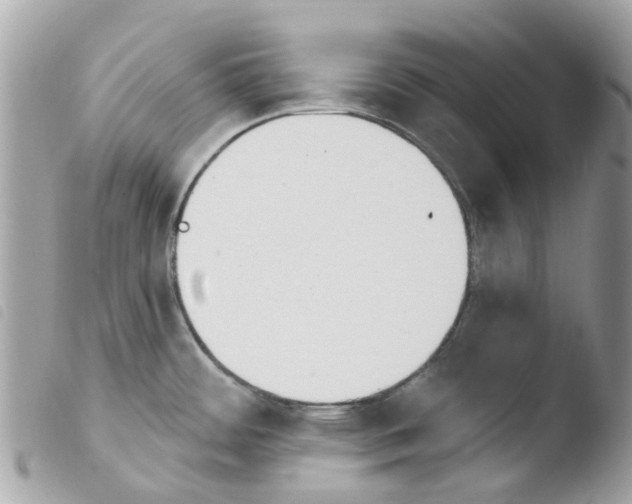 X0000103931484200810171740