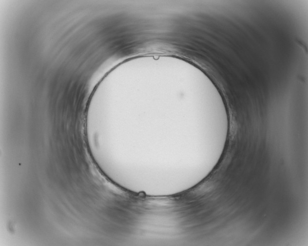 X0000103931486200810171740