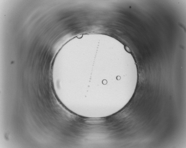 X0000103931487200810171740