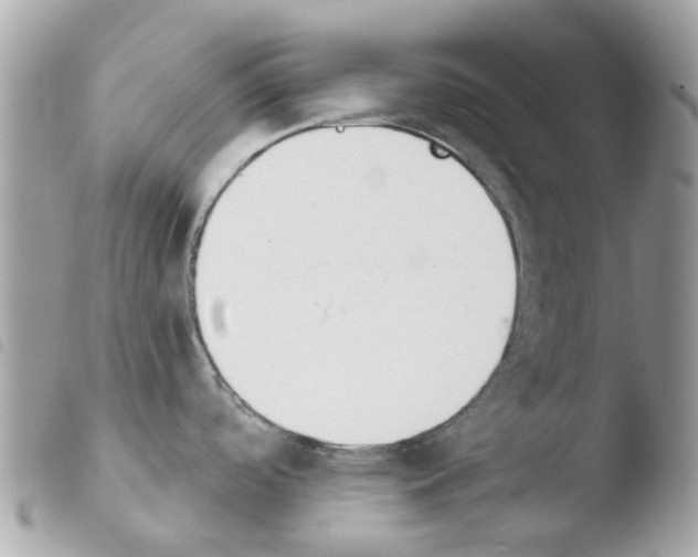 X0000103931488200810171740