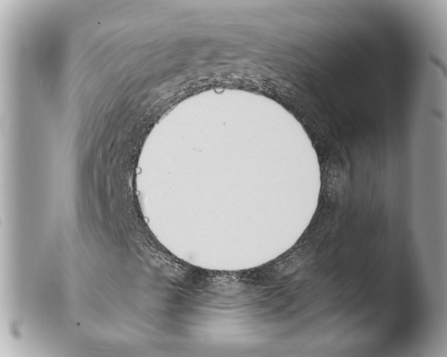 X0000103931489200810171739