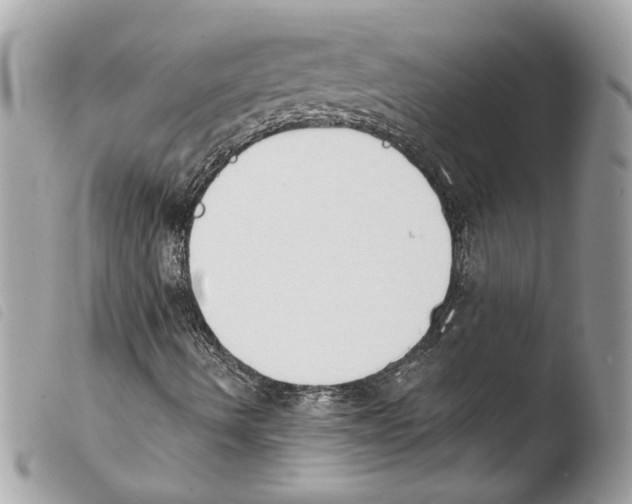 X0000103931490200810171739