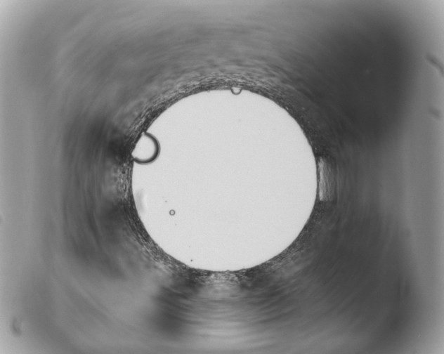 X0000103931491200810171739