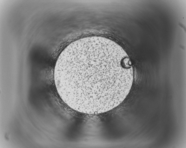 X0000103931492200810171739