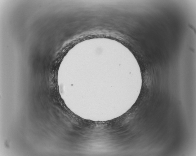 X0000103931494200810171739