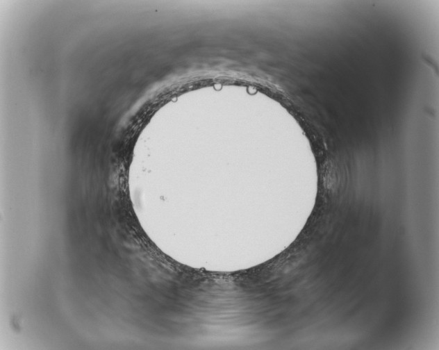 X0000103931495200810171739