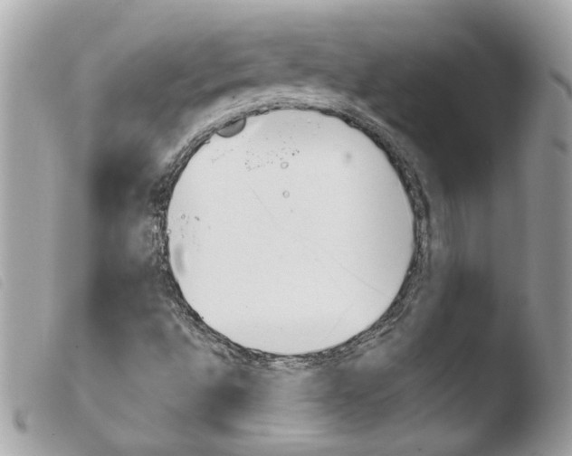 X0000103931496200810171739