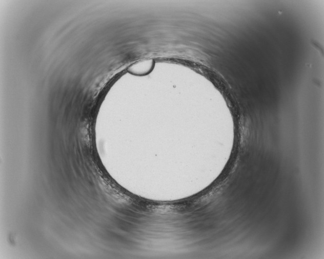 X0000103931497200810171739