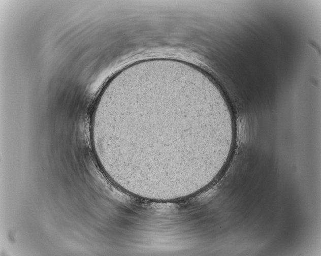 X0000103931498200810171739